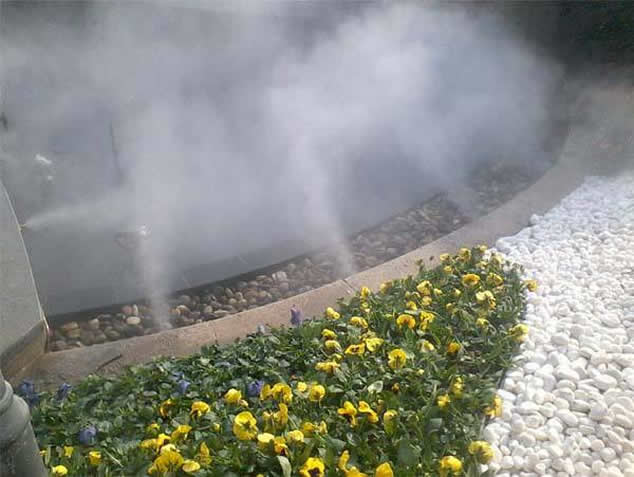 1680749238947434.jpg 201908301137024726.jpg